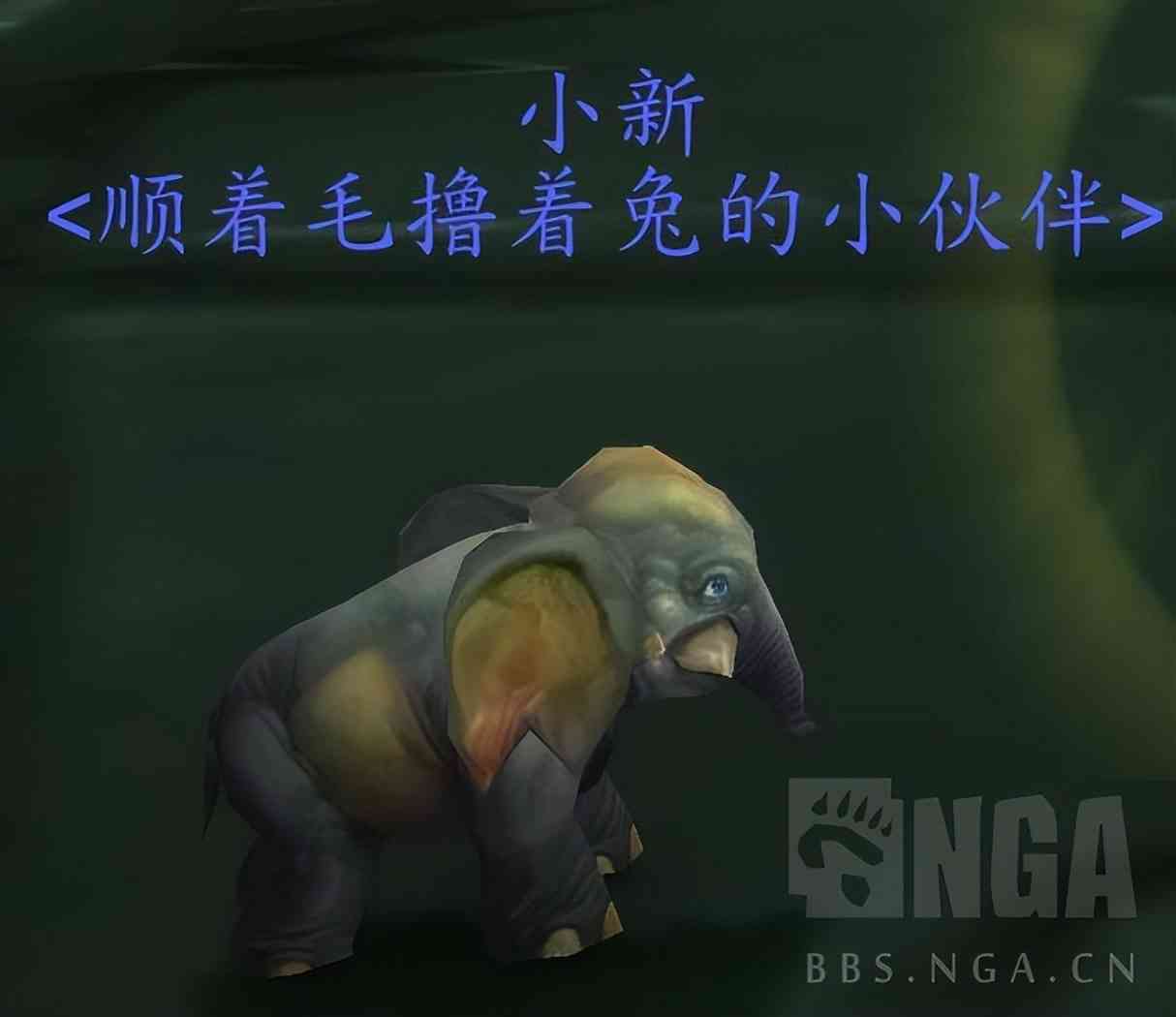 魔兽世界怀旧服:2022年怀旧服儿童周攻略 10分钟速拿两只宠物