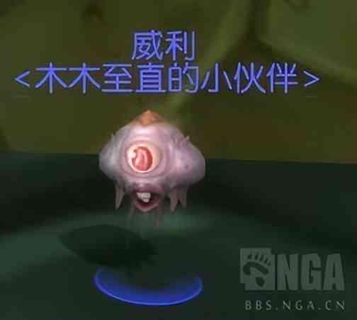 魔兽世界怀旧服:2022年怀旧服儿童周攻略 10分钟速拿两只宠物