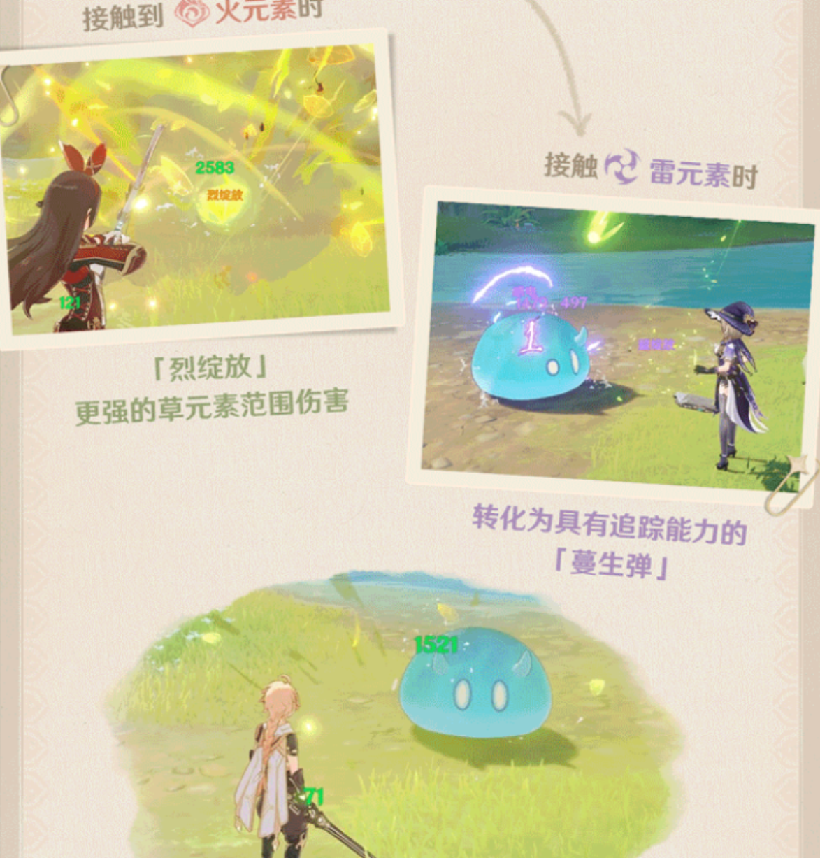 原神须弥关键知识,绽放不是纯正向反应火雷属性探索必备