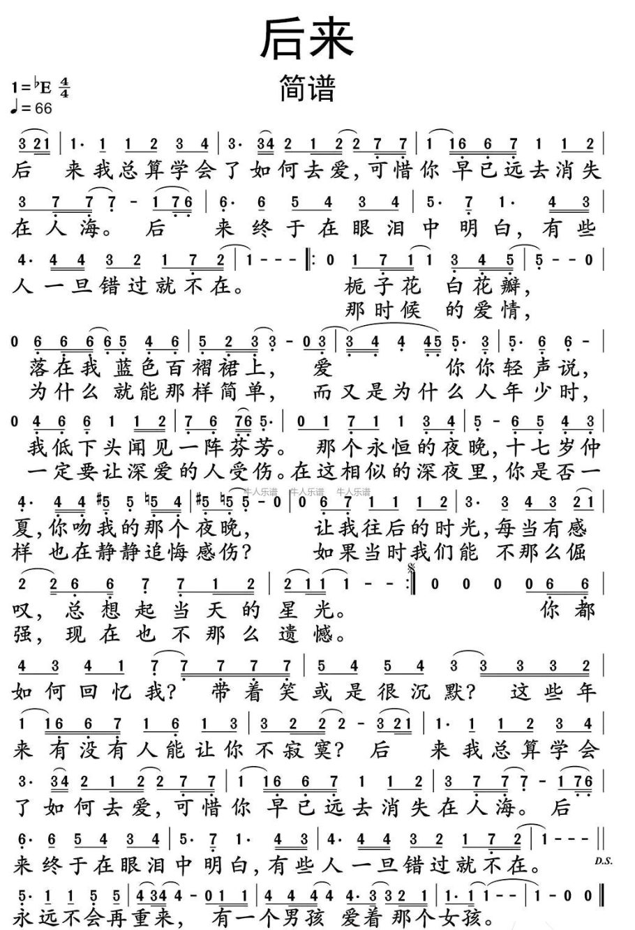 红玫瑰简谱数字图片